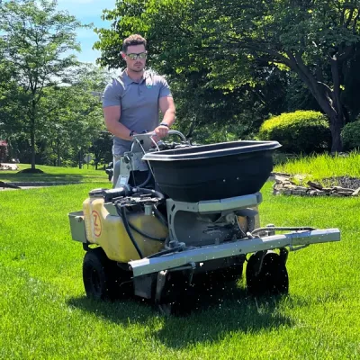 lawn seeding