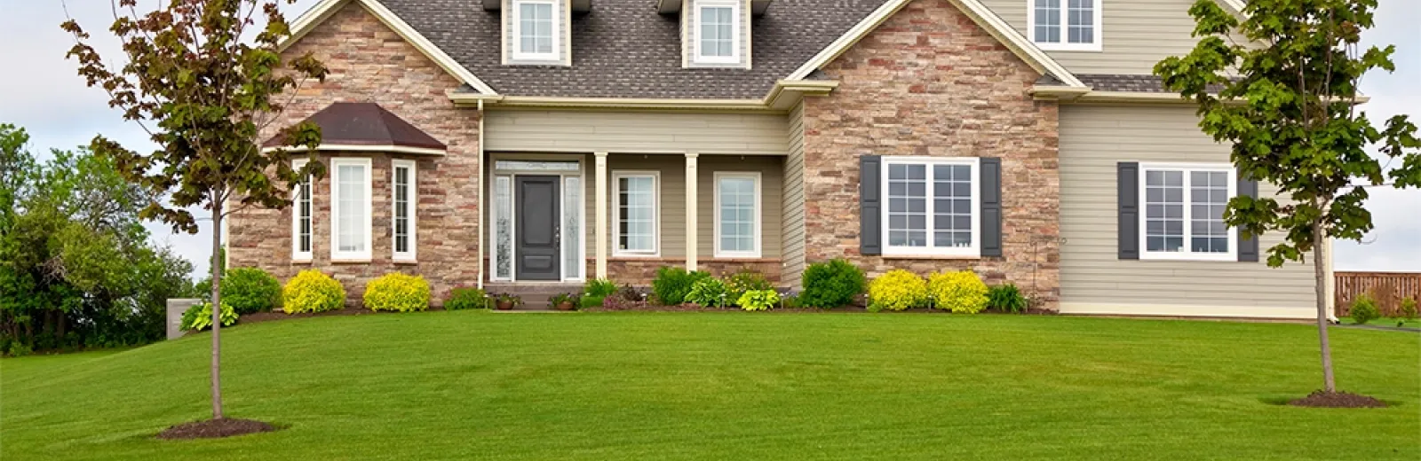 house with lawn