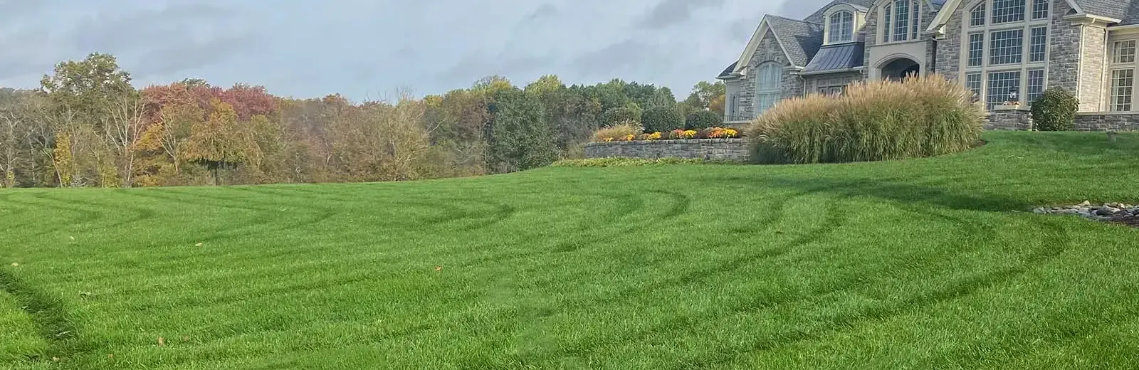 large front healthy green lawn