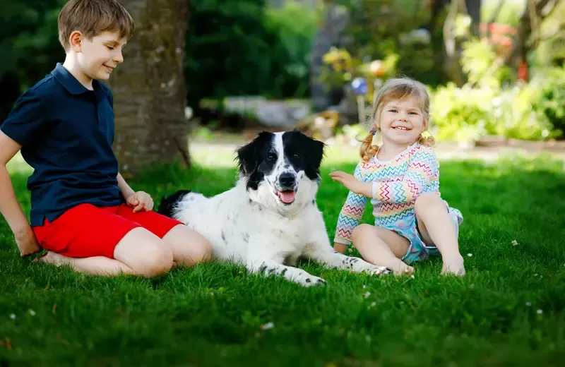kids playing with dog outside