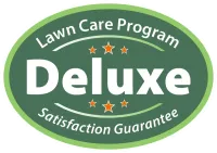 Deluxe Package Icon
