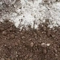lime-treamt-on-soil