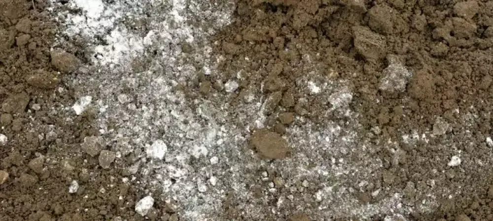 content-lime-in-soil