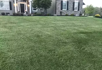 house-on-lawn