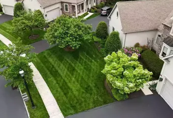 driveway-view