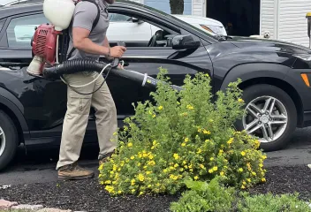 spraying_mosquito