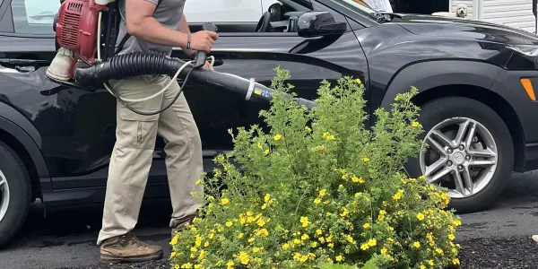 spraying_mosquito